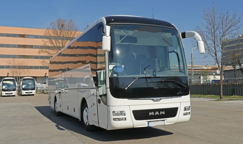 Kosovo: Buses operator in Kamenicë (Kosovska Kamenica) in Kamenicë (Kosovska Kamenica) and Europe